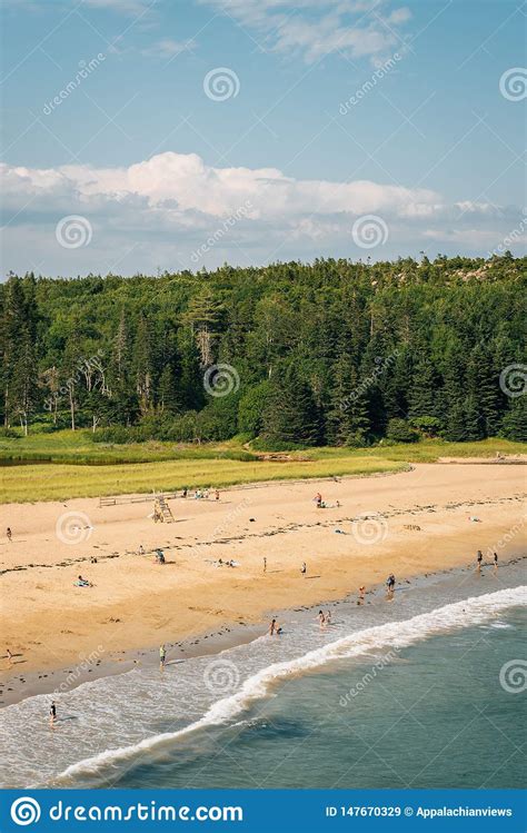View Of The Sand Beach In Acadia National Park Maine Stock Image
