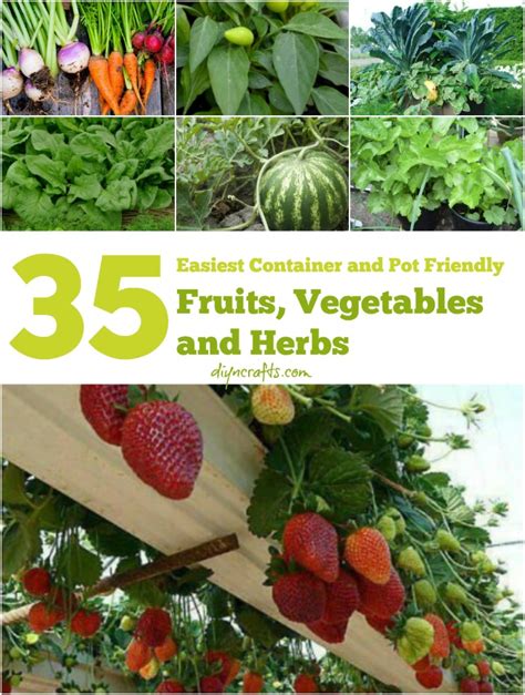 *note about regrowing grocery store produce from seed: The 35 Easiest Container and Pot Friendly Fruits ...