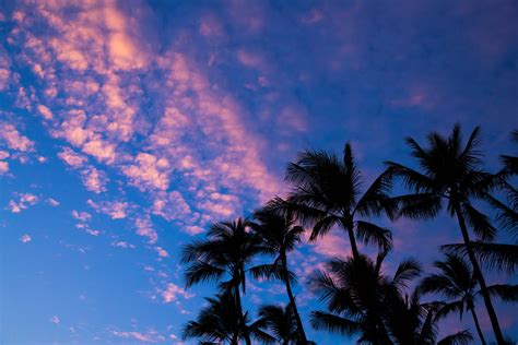 Waikiki Beach Sunset Honolulu Hawaii Anthony Quintano Flickr