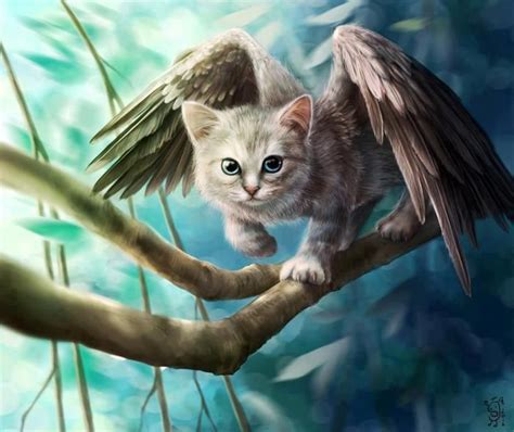 Cat Wings Cute Fantasy Creatures Mythical Creatures Art Cute