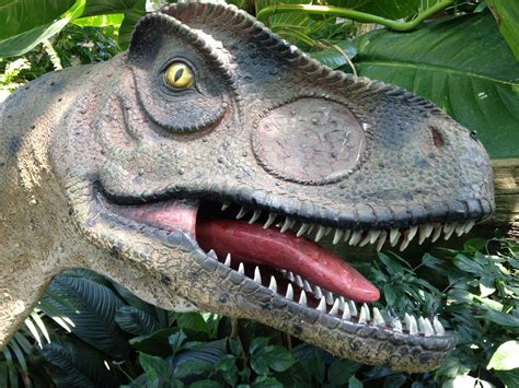 Gambar Rimba Predator Fauna Kepala Gigi Dinosaurus Karnivor
