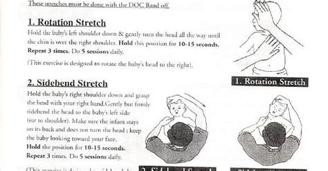 Neck Stretching Exercises Album On Imgur