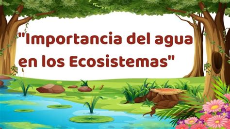 El Agua En El Ecosistema Colombia Verde
