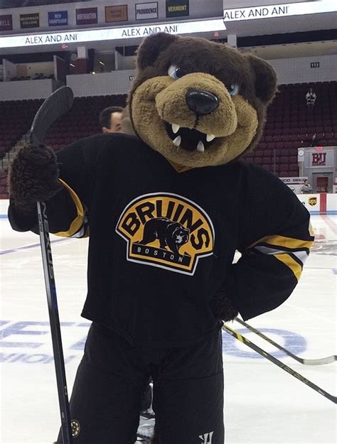 This 50 Facts About Boston Bruins Mascot Costume What Is The Boston