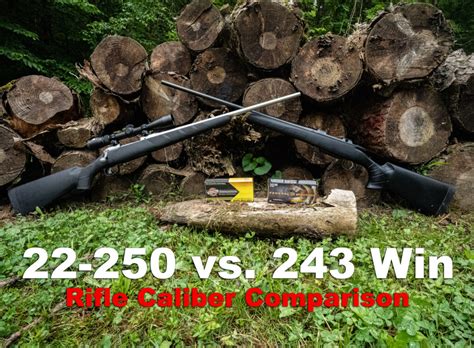 22 250 Vs 243 Winchester The Lodge At