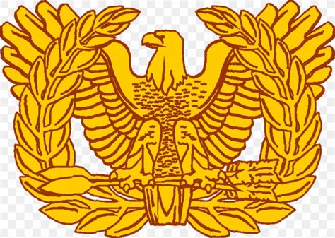 Warrant Officer Army Officer Military Rank United States Army Png