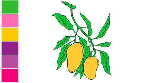 How to draw a mango tree. How to draw a mango - How to draw mango step by step ...