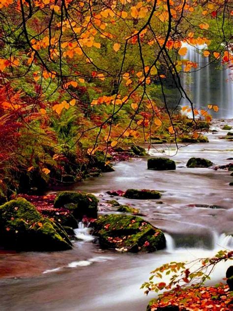 Free Download Youwall Autumn Forest Waterfall Wallpaper