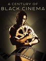 A Century of Black Cinema (2003) movie posters