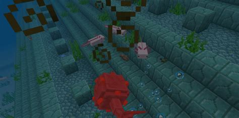 Mcpebedrock Axolotls Add On Minecraft Addons Mcbedrock Forum
