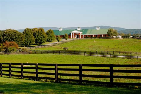 Shenandoah River Blue Riidge Mountains And Northern Virginia Horse