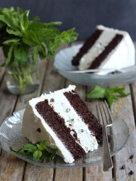 A simple vanilla cake batter with chocolate chips or chunks mixed in. Easy Ice Cream Cake Recipes • CakeJournal.com