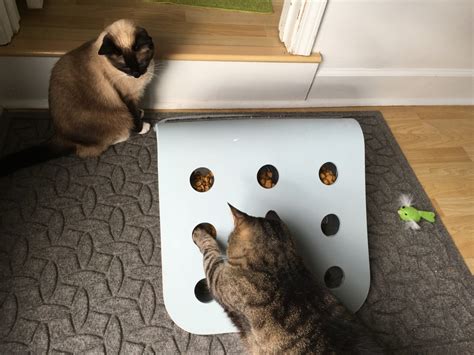 Cut some colored felt into donut, burger and hot dog shapes, stuff with catnip and then sew with colored embroidery thread. IKEA hack-DIY Food Puzzle for Cats! - Fundamentally Feline