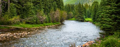 Water Quality In The Elk Valley