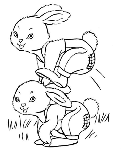 Printable Pictures Of Rabbits Coloring Home