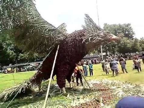 Dangke, keju asli indonesia yang populer hingga negara tetangga. Download Gambar Burung Garuda Asli - Rino Gambar