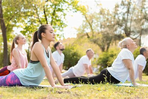 Group Of People Practicing Yoga In Park On Sunny Day Stock Photo