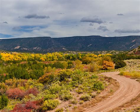 New Mexico Fall Foliage Going Through The Archives