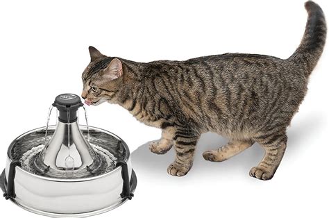 Drinkwell 360 Stainless Steel Pet Fountain By Drinkwell Ex Ten