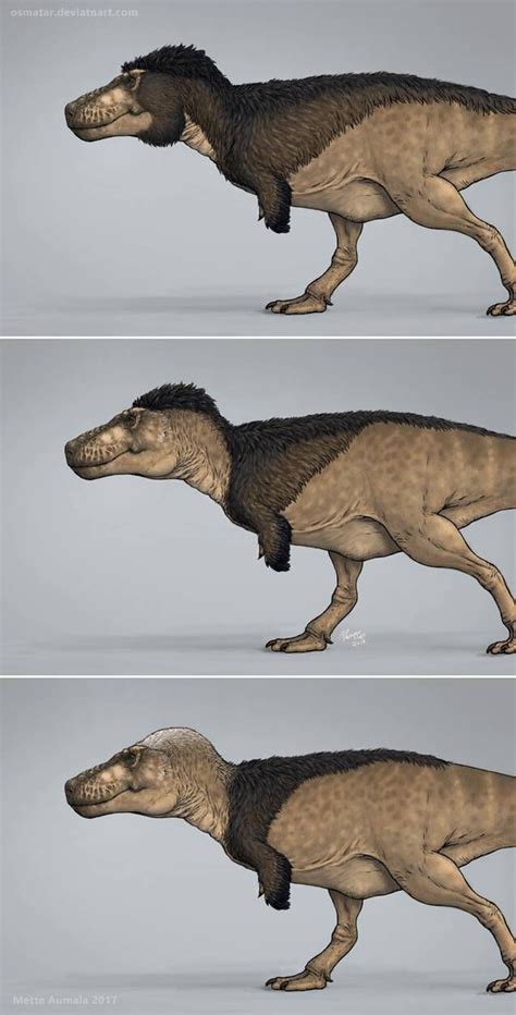 Three Styles For A Feathered Tyrannosaurus By Osmatar On Deviantart