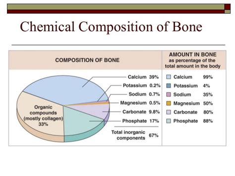 8 Info E Chemical Composition Of Bone With Video Tutorial Chemical