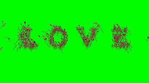 Green Screen Love Effectnivas Cherry The Creatorgreen Screen Youtube