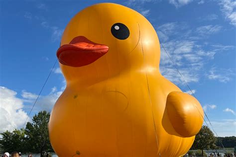 Photos Worlds Largest Rubber Duck Arrives On Marylands Shore Wtop News