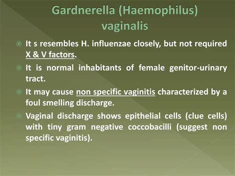 Ppt Haemophilus Powerpoint Presentation Free Download Id1859049