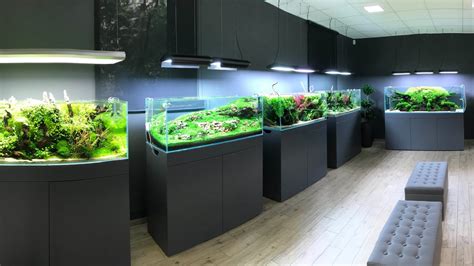 Out of these cookies, the cookies that are categorized as necessary are stored on your. AMAZING AQUASCAPE TOUR at Green Aqua, Budapest - YouTube