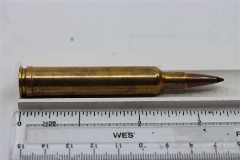 65 300 Weatherby Magnum Ballistic Tip Weatherby 65 300 Wby Mag