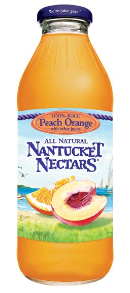 Nantucket Nectars Peach Orange Juice 16 Oz 12 Pack