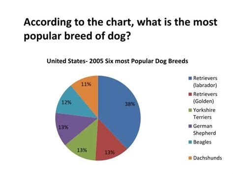 Ppt According To The Chart What Is The Most Popular Breed Of Dog