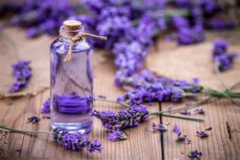 5 Best Essential Oils For Acne You Need To Know Punica Makeup