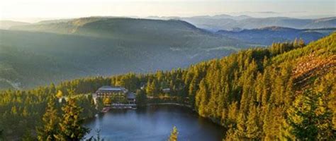 Black Forest Mountain Germany