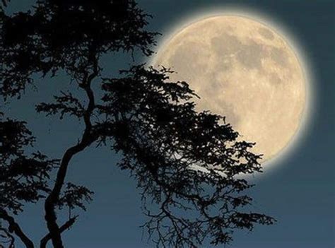 Full Moon 2021 Stunning Photos Videos Capture Snow Moon