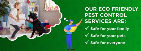 Go Green with Eco-Friendly Pest Control: Effective & Safe Solutions!