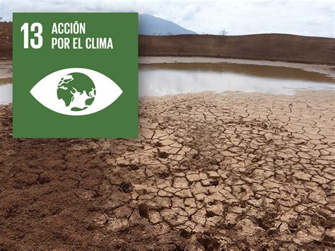 Clima y noticias del cambio climático, medio ambiente y la tierra. ODS 13: acción por el clima | Ayuda en Acción