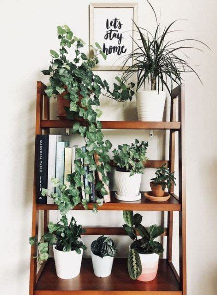 51 New Ideas For Plants Apartment Therapy Houseplant Decor Home