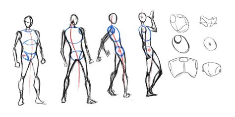 Pin By Nick Poulopoulos On Looks Human Anatomy Drawing Human Drawing