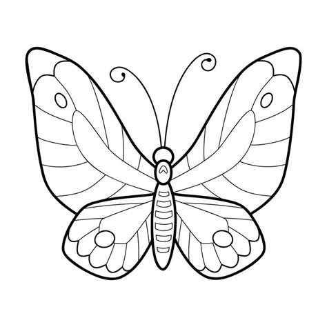 Libro De Colorear O Página Para Niños Mariposa Blanco Y Negro Vector