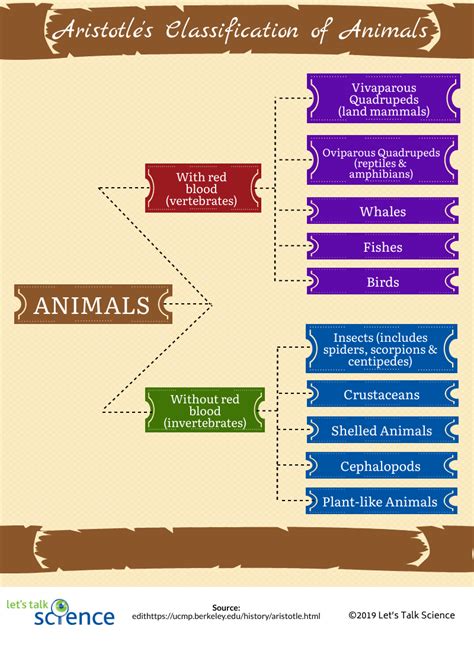 How Does The Study Of Taxonomy Helps Other Scientists Study Poster