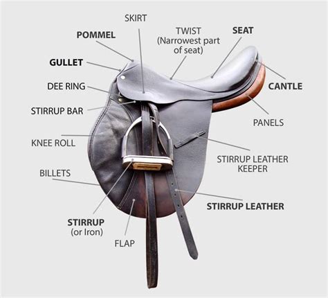 How To Buy And Fit Your Horses Saddle Horse Factbook