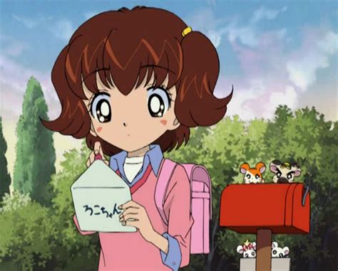The First Love Letter The Hamtaro Wiki Fandom