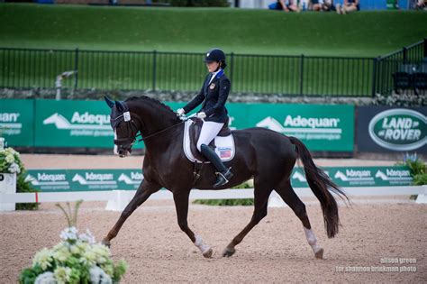 Grade Iv Individual Test Initiates Para Equestrian Dressage Competition