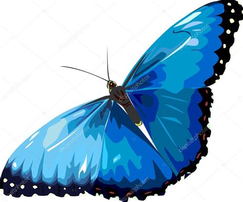 Blue Butterfly Stock Vector Image By ©pandora90 5741889