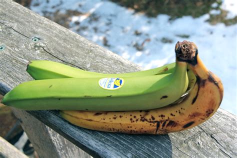 Weird Bananas Bakepedia