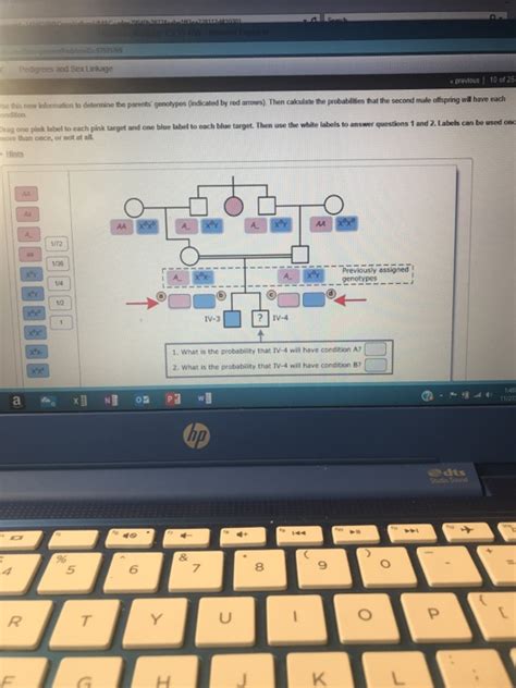 Solved Pedigrees And Sex Linkage Previous 10 Of 25 E This