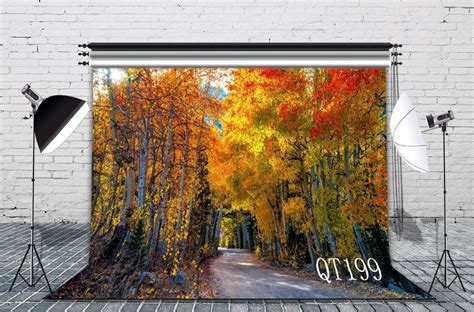 Greendecor Polyster 7x5ft Autumn Scenery Photography Backdrops Studio