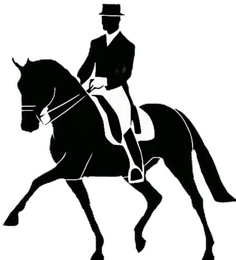 Dressage Horse Outline : Dressage Horse Silhouette Hd Png Download Transparent Png Image Pngitem ...