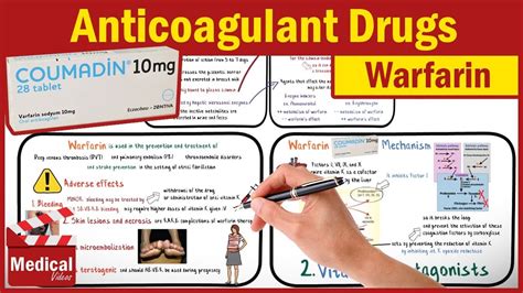 Pharmacology Cvs 22 Anticoagulant Drugs Part 2 Warfarin Mechanism